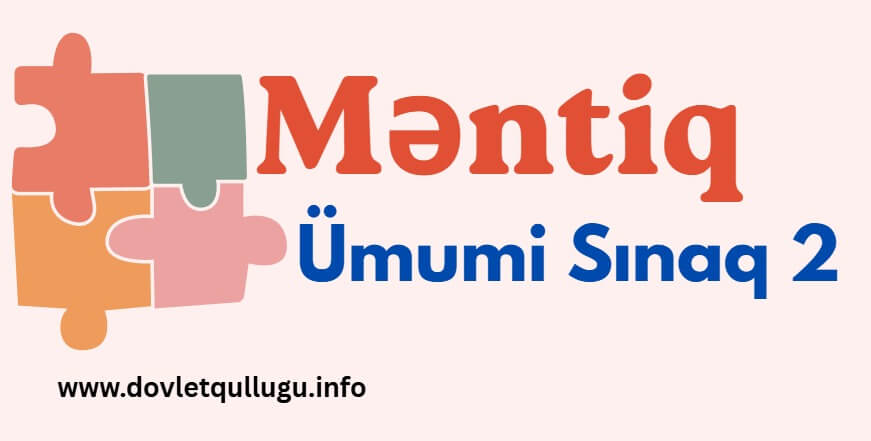 Məntiq Sınağı 2